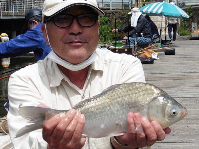 初夏のヘラブナ釣り堪能　エサ決まると良型連発【大阪・FC竹の内】