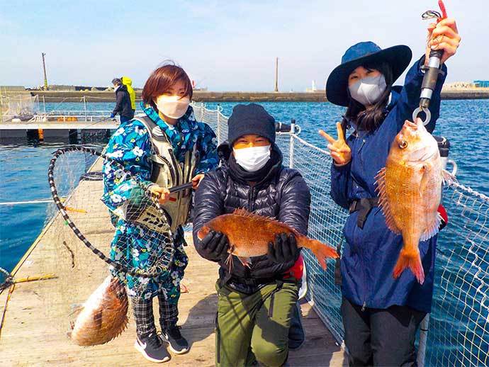 海上釣り堀で5人でマダイ11尾キャッチ　入れ食いの時間帯もあり満喫