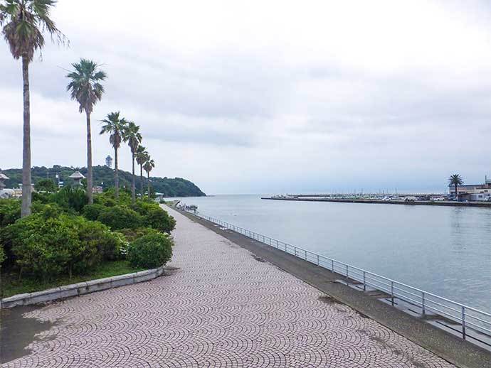 ハゼ＆テナガエビの好釣り場紹介：横浜〜藤沢市【神奈川】