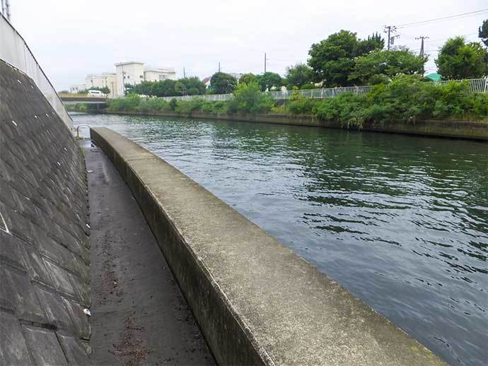 ハゼ＆テナガエビの好釣り場紹介：横浜〜藤沢市【神奈川】