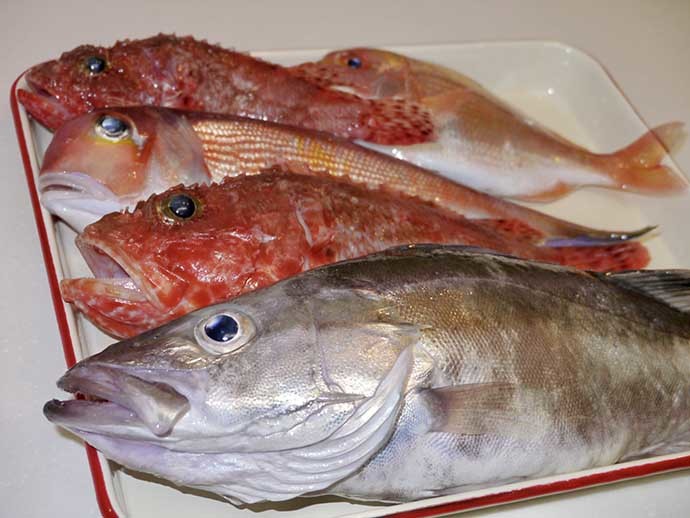 釣り人の「ちょっと変わった生態」：釣った魚はどうやって食べてるの？