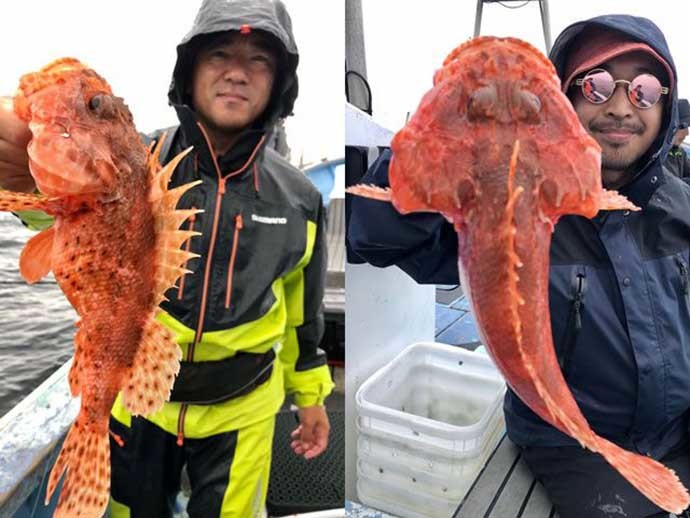 週末ナニ釣れた？沖釣り速報：東京湾のマダコ乗り良好【関東】