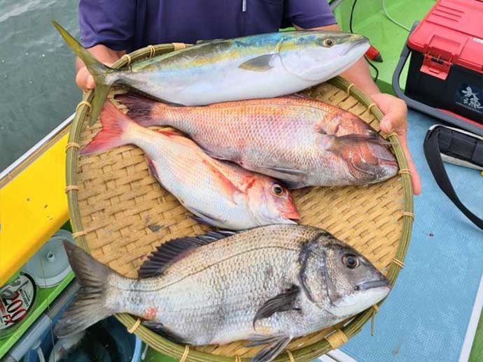 昨日ナニ釣れた？沖釣り速報：ショート便で手軽に土産をゲット【関東】