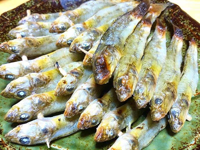 【釣魚レシピ】ハゼの干物　水分抜けて凝縮された旨みが肴にもピッタリ