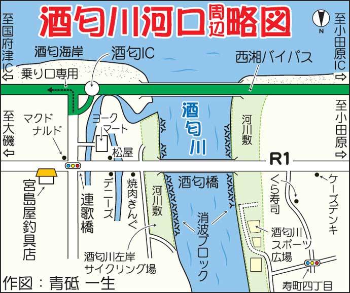 息子と楽しむテナガエビ釣り　止水エリア狙い連発【神奈川・酒匂川】