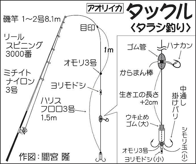 地磯でアオリ狙い泳がせ釣り　現地調達の小魚で本命900g【神奈川】