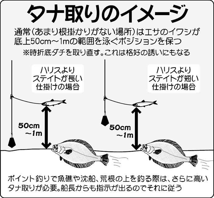 【2022年】夏ビラメ狙い泳がせ釣り入門　タックル・釣りの流れ・近況