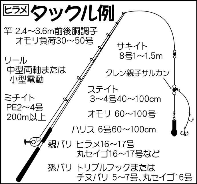 【2022年】夏ビラメ狙い泳がせ釣り入門　タックル・釣りの流れ・近況