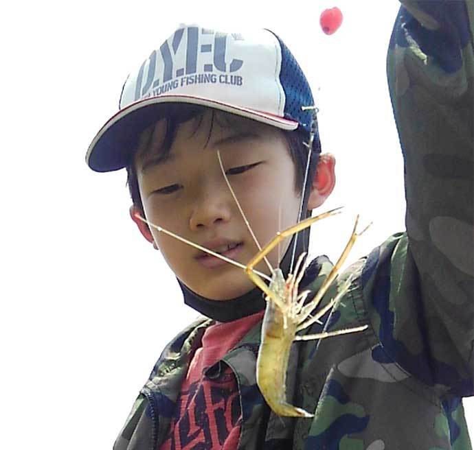 息子と楽しむテナガエビ釣り　止水エリア狙い連発【神奈川・酒匂川】