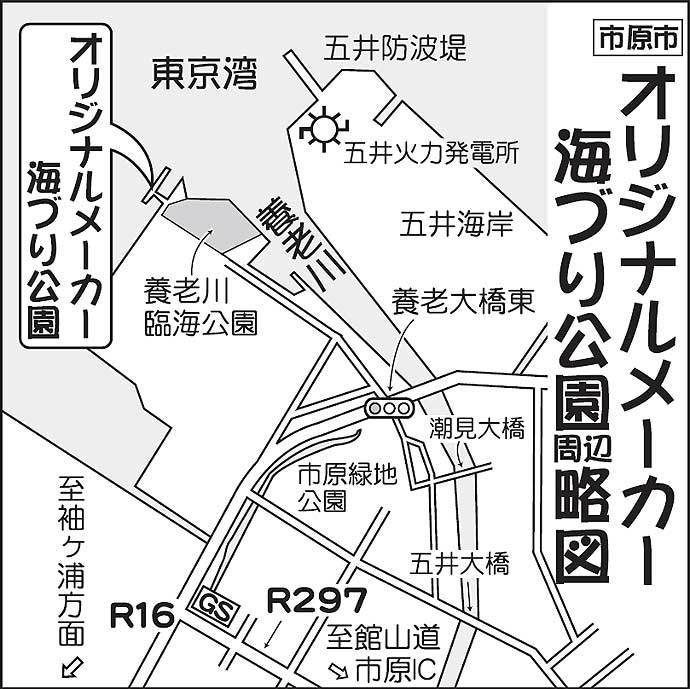 海釣り公園でファミリーフィッシング　サビキ釣りでサバ＆イワシ手中