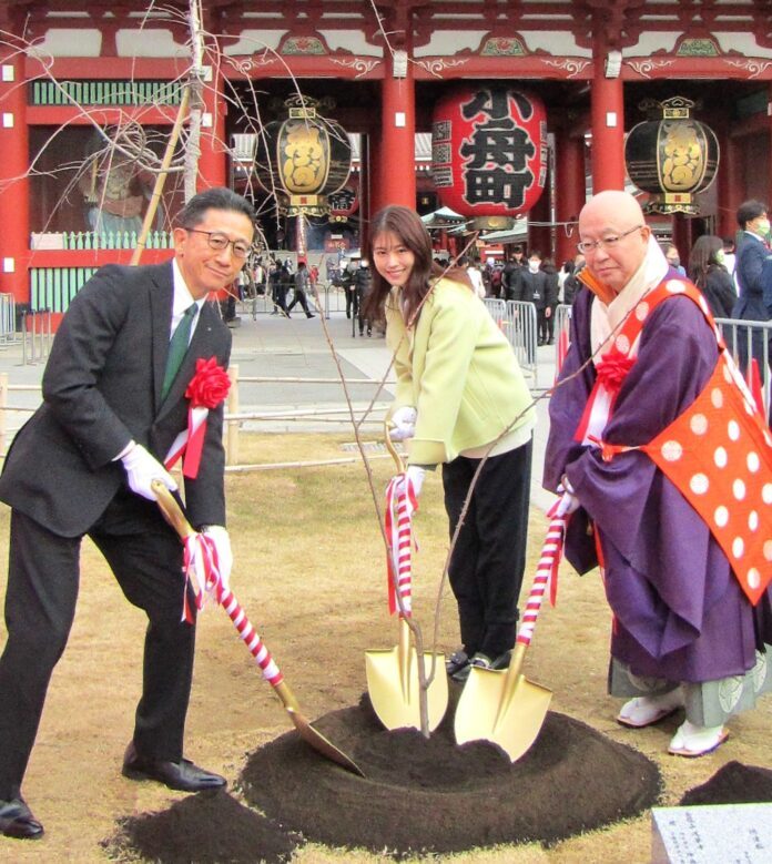 有村架純さん、桜が満開になる未来に思い馳せて植樹　浅草寺で今年の1本目　伊藤園「わたしの街の未来の桜プロジェクト」