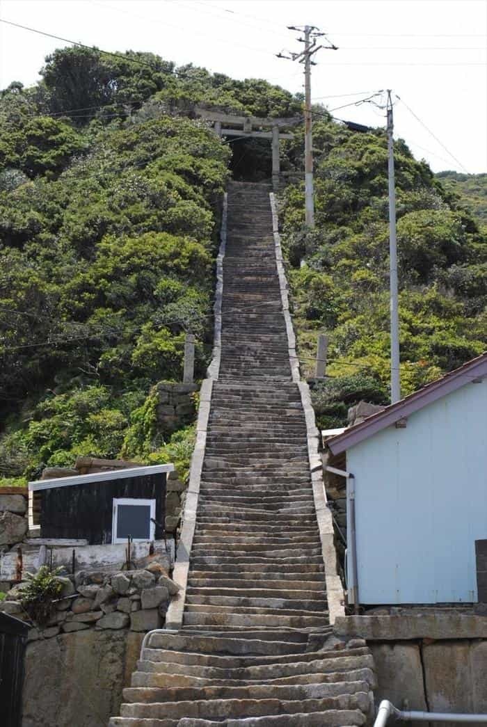 高知県の離島に行こう。宿毛市の「沖の島」がおすすめ！