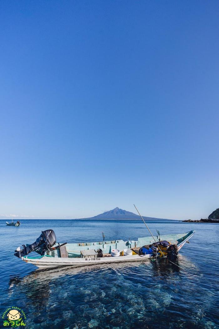 【癒し】夏の暑さに疲れたあなたへ「礼文島」という選択肢はいかがですか？