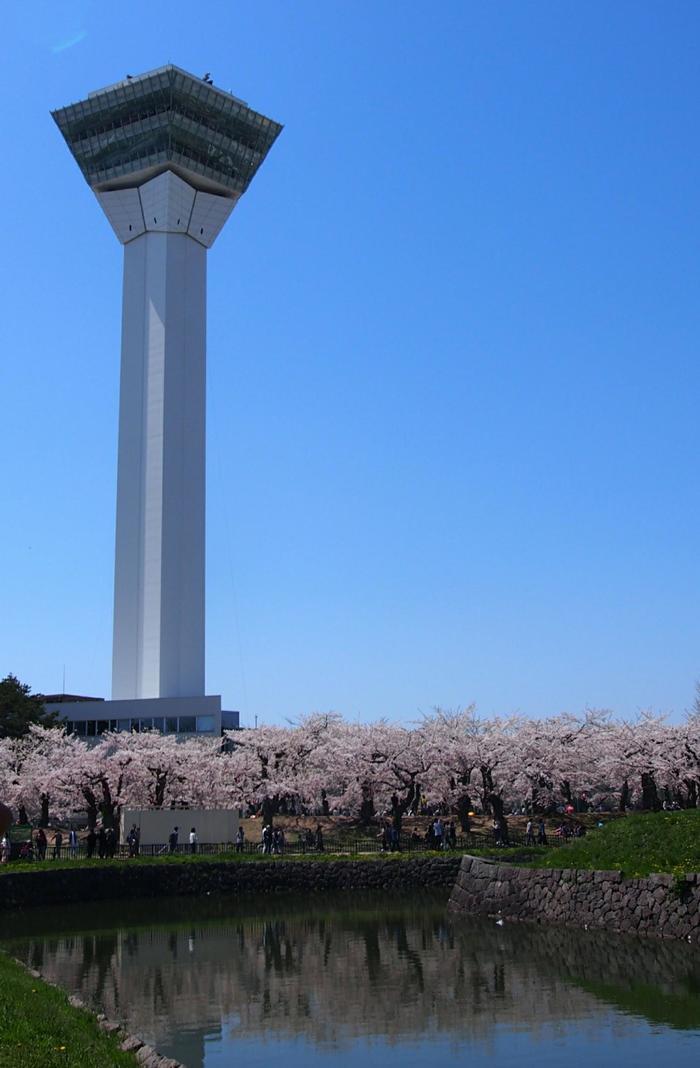 北海道の函館・松前　絶景の桜とお城を求めて＾＾