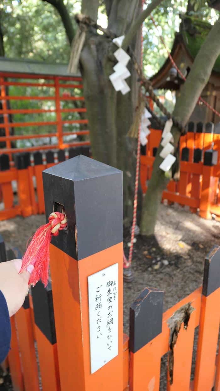 【京都】人の縁を結ぶ下鴨神社！見どころ・ご利益・お守りなどを徹底取材