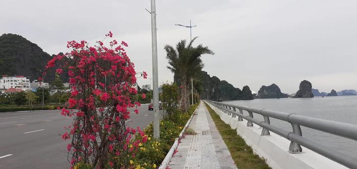 クルーズ船に乗らずに楽しむ！ダナン発着ハロン湾2泊3日の一人旅