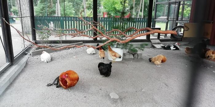 【スウェーデン】まるで野外博物館！広大なカールスタッド市民公園