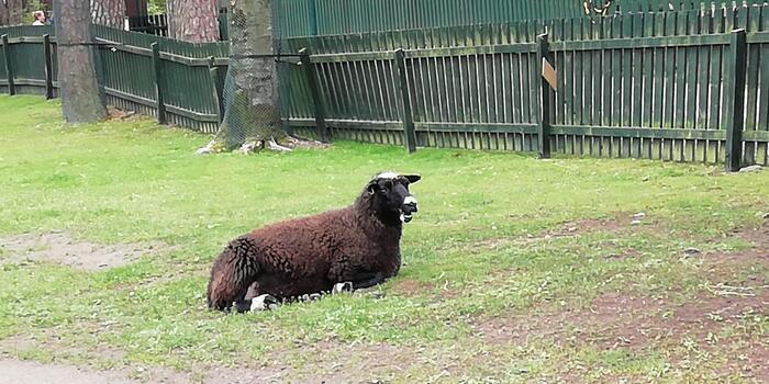 【スウェーデン】まるで野外博物館！広大なカールスタッド市民公園