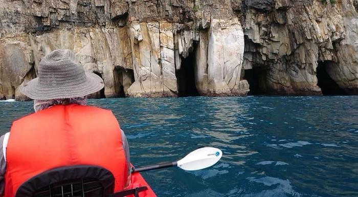 高知県の離島に行こう。宿毛市の「沖の島」がおすすめ！