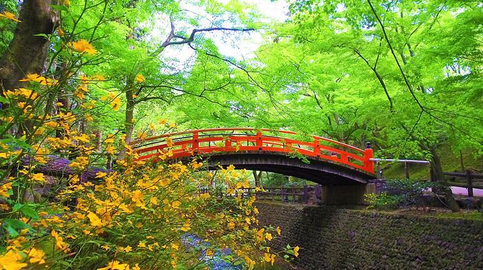 【京都】北野天満宮の見どころガイド～七不思議や周辺スポット紹介も～