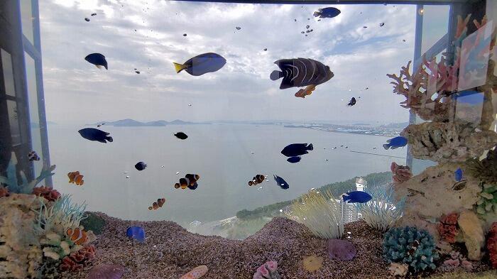 【香川】金魚が空を泳ぐ！水族館に龍宮城！？映えまくりな四国・丸亀の旅