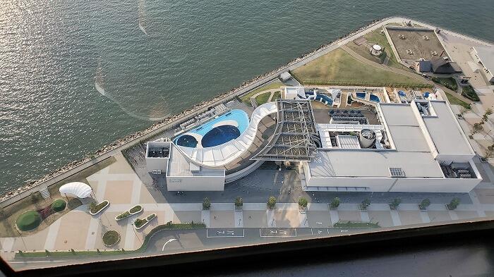 【香川】金魚が空を泳ぐ！水族館に龍宮城！？映えまくりな四国・丸亀の旅