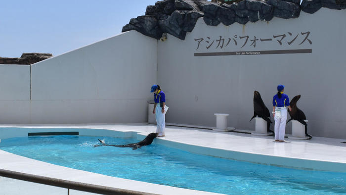 千葉・鴨川シーワールドの見どころを徹底解説！スタッフに聞いたおすすめの周り方もご紹介