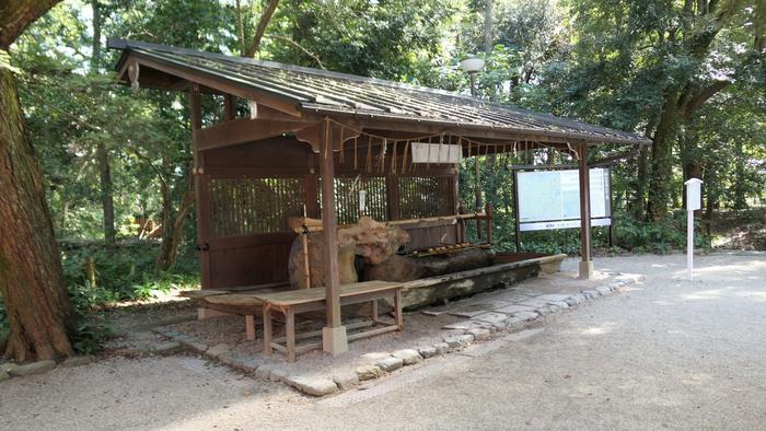 【京都】人の縁を結ぶ下鴨神社！見どころ・ご利益・お守りなどを徹底取材