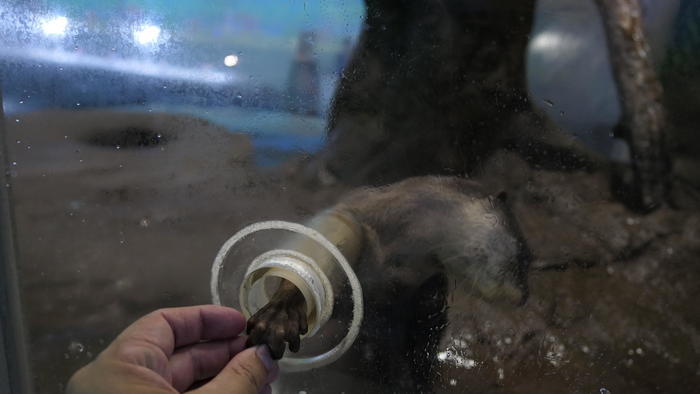 【石川県】リニューアルした「のとじま水族館」の見どころをまとめました！