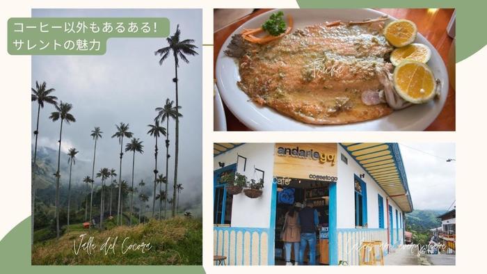 コロンビアのコーヒー農園ツアーへ【キンディオ州サレント】