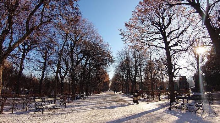 世界遺産をのんびりお散歩。雪のシェーンブルン宮殿を満喫しよう！