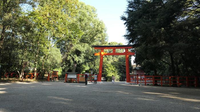 【京都】人の縁を結ぶ下鴨神社！見どころ・ご利益・お守りなどを徹底取材