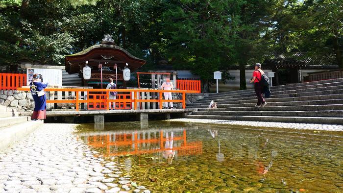 【京都】人の縁を結ぶ下鴨神社！見どころ・ご利益・お守りなどを徹底取材