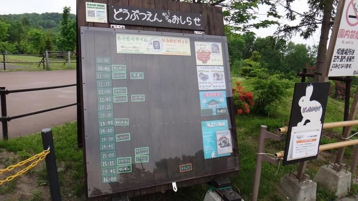 【北海道・旭川】「旭山動物園」の見どころを人気別に徹底解説！もぐもぐタイムは必見！