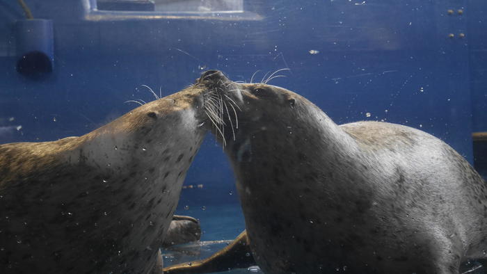 【石川県】リニューアルした「のとじま水族館」の見どころをまとめました！