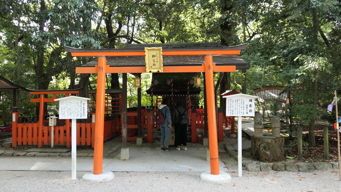 【京都】人の縁を結ぶ下鴨神社！見どころ・ご利益・お守りなどを徹底取材