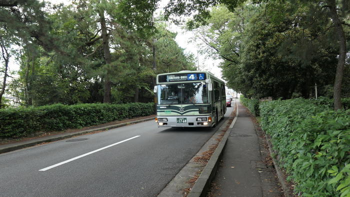 【京都】人の縁を結ぶ下鴨神社！見どころ・ご利益・お守りなどを徹底取材