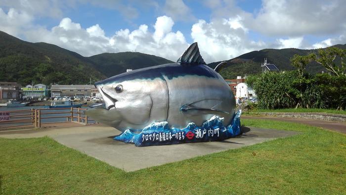 奄美大島ってどんなとこ？実は行きやすい大自然の島でした！