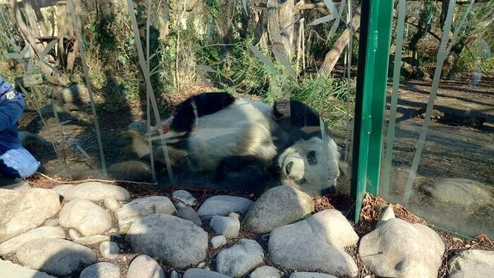 【オーストリア】皇帝が作った世界最古の動物園！シェーンブルン動物園を満喫！（初級編）