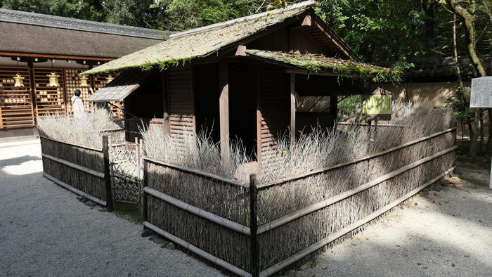 【京都】人の縁を結ぶ下鴨神社！見どころ・ご利益・お守りなどを徹底取材