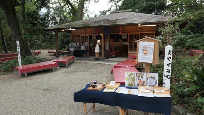 【京都】人の縁を結ぶ下鴨神社！見どころ・ご利益・お守りなどを徹底取材