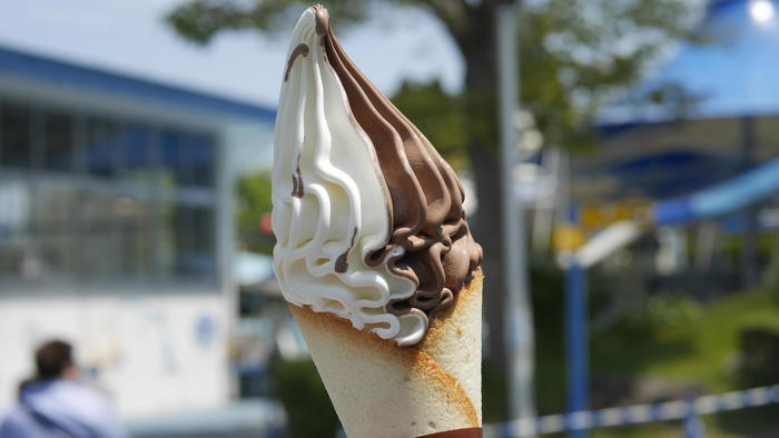 【石川県】リニューアルした「のとじま水族館」の見どころをまとめました！