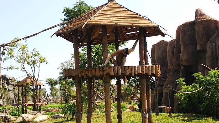 ダナン・ホイアンにある天空の遊園地や自然あふれるテーマパーク!突然現れるゴールデンブリッジとは?