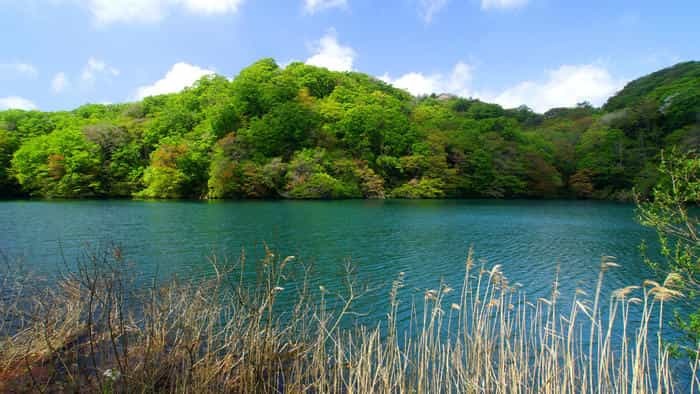 青森県と秋田県にまたがる世界遺産「白神山地」の十二湖散策コースをご紹介！