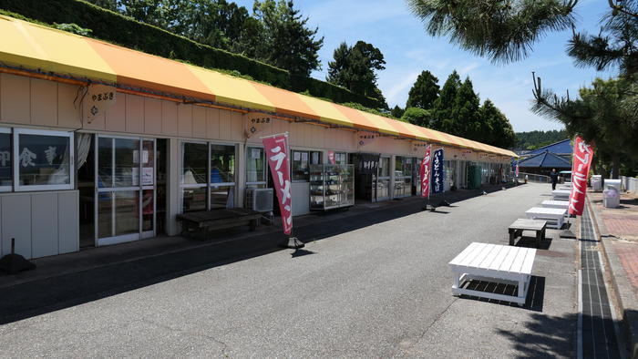 【石川県】リニューアルした「のとじま水族館」の見どころをまとめました！