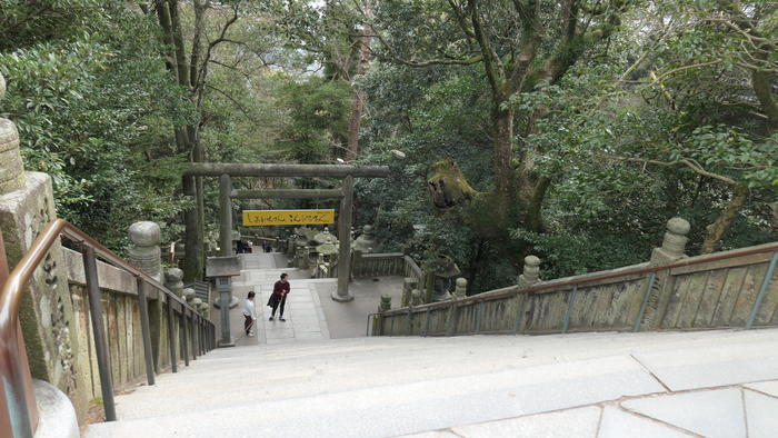 【香川県】金刀比羅宮の参道～本宮～奥社の見どころ・ご利益・アクセス方法・お土産情報などを徹底取材