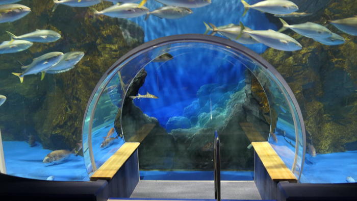 【石川県】リニューアルした「のとじま水族館」の見どころをまとめました！