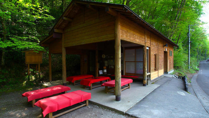 青森県と秋田県にまたがる世界遺産「白神山地」の十二湖散策コースをご紹介！