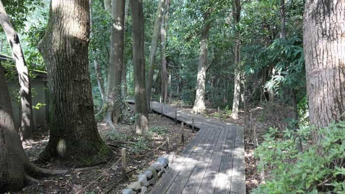 【京都】人の縁を結ぶ下鴨神社！見どころ・ご利益・お守りなどを徹底取材