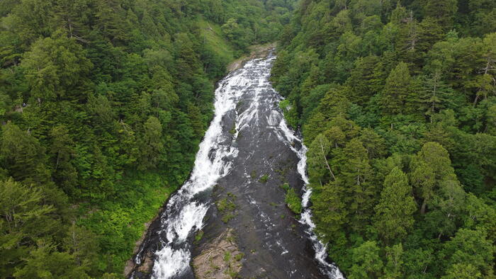 尾瀬の魅力を詳しく解説します！（群馬・福島・新潟）